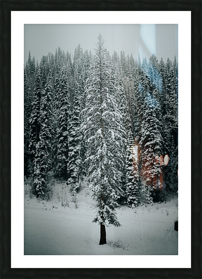  DSC9263 Picture Frame print