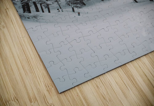  DSC0140 Luke Berg puzzle