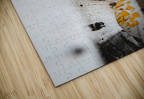  DSC8042 Luke Berg puzzle