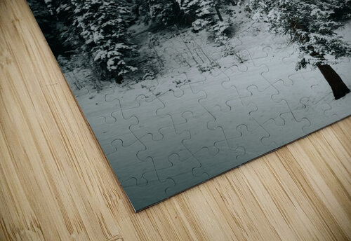  DSC9263 Luke Berg puzzle
