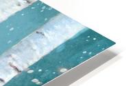 birch tree Impression metal HD