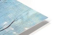 winter scenery HD Metal print
