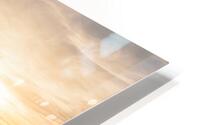 583833000 HD Metal print