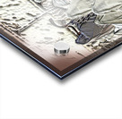 art   praying at KOTEL   AA Acrylic print