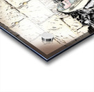 torah at kotel  Impression Acrylique