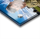 art   soldier tefilin SHMA YISROEL 1 Acrylic print