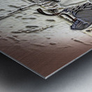 art   praying at KOTEL   AA Metal print