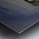 ART   KIDUSH LEVONOH   AA Metal print