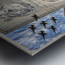 ART   The Forces A Metal print