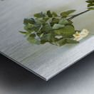 monogram art  YIMTZA   -FOR DISPLAY ONLY Metal print