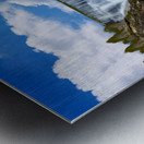  Tashlich  Metal print