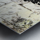 TALIT inspiration at KOTEL Metal print