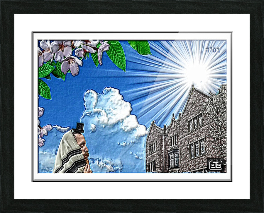 770 crown heights art Picture Frame print