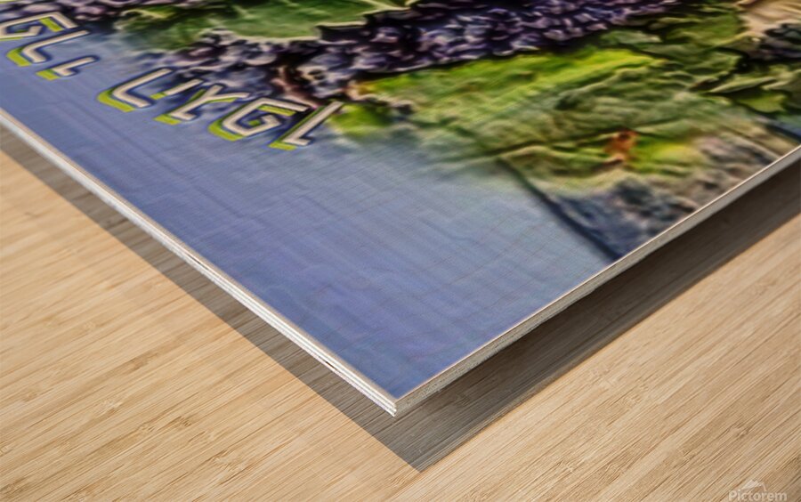 art HAGEFEN 1 Wood print