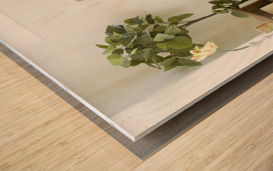 monogram art  YIMTZA   -FOR DISPLAY ONLY Wood print