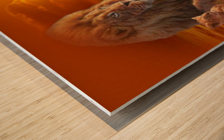 art LIONS roar AA Wood print