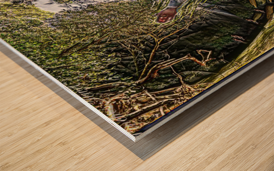   calling to G-D Almighty from  deep... Wood print