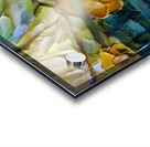 F129 50X40 Acrylic print