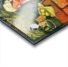 f128.1 40x50 Acrylic print