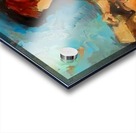 F35.1 40X50 Acrylic print