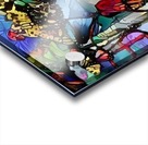 F103.1 40X50 Acrylic print