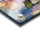 F322 20X24 Acrylic print