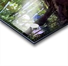 f476 90X45.2 Acrylic print