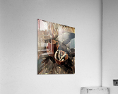 F458.1 40X50 Acrylic Print
