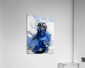 A114 4X5 Acrylic Print