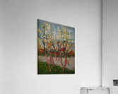 F535 Acrylic Print