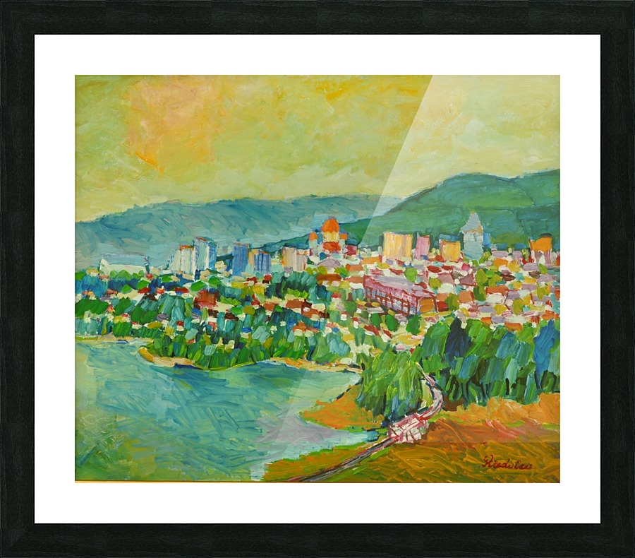 G101 ORASUL Picture Frame print