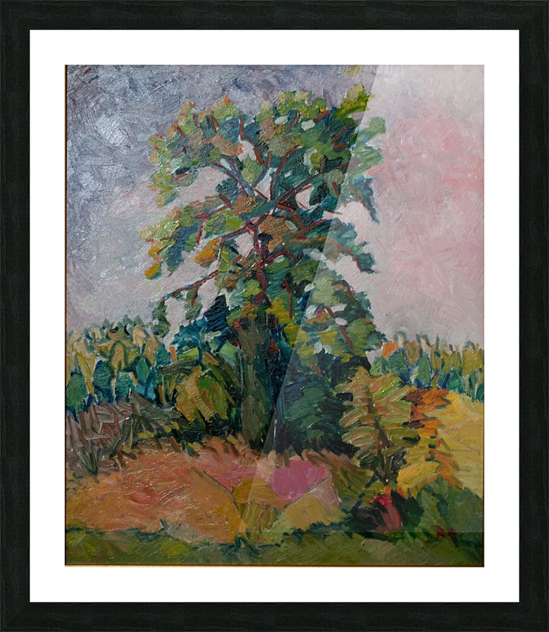 G120 Picture Frame print