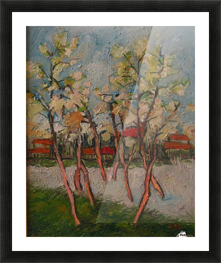 F535 Picture Frame print