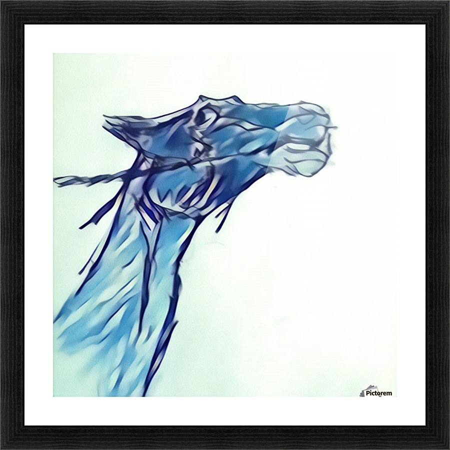 s110.3 Picture Frame print