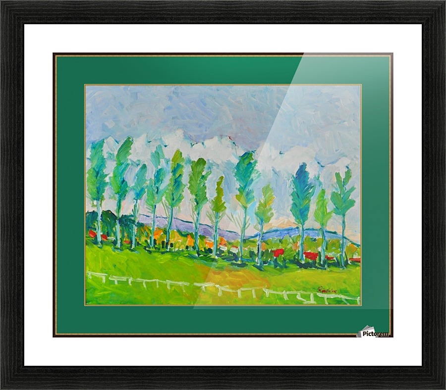 G111 (8) Picture Frame print