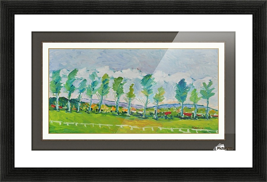 G111.P1 Picture Frame print