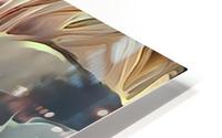 F458.1 40X50 HD Metal print