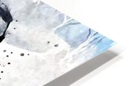 A114 4X5 HD Metal print