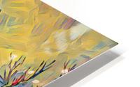 landscape HD Metal print