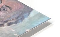F548 4000 HD Metal print