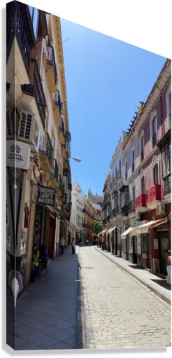 Seville Street Canvas Print
