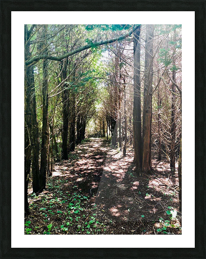 Ominous Woods Picture Frame print