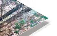 Ominous Woods HD Metal print