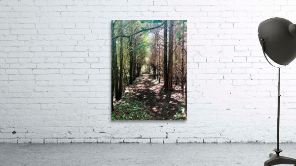 Ominous Woods Wall Preview
