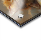 Cute Kitten Realistic Painting23 Acrylic print