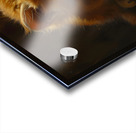 Cute Kitten Realistic Painting4 Acrylic print