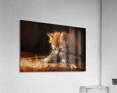 Cute Kitten Realistic Painting20 Acrylic Print