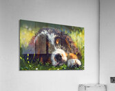 Puppy Paintings by Museblot 2 Acrylic Print