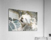 Puppy Paintings by Museblot 13 Acrylic Print