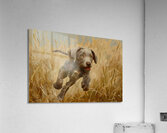 Puppy Paintings by Museblot 20 Acrylic Print